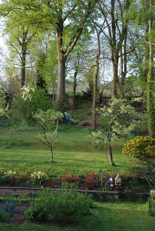La Maison De Georges - Les Coquelicots Scharrachbergheim-Irmstett Ruang foto