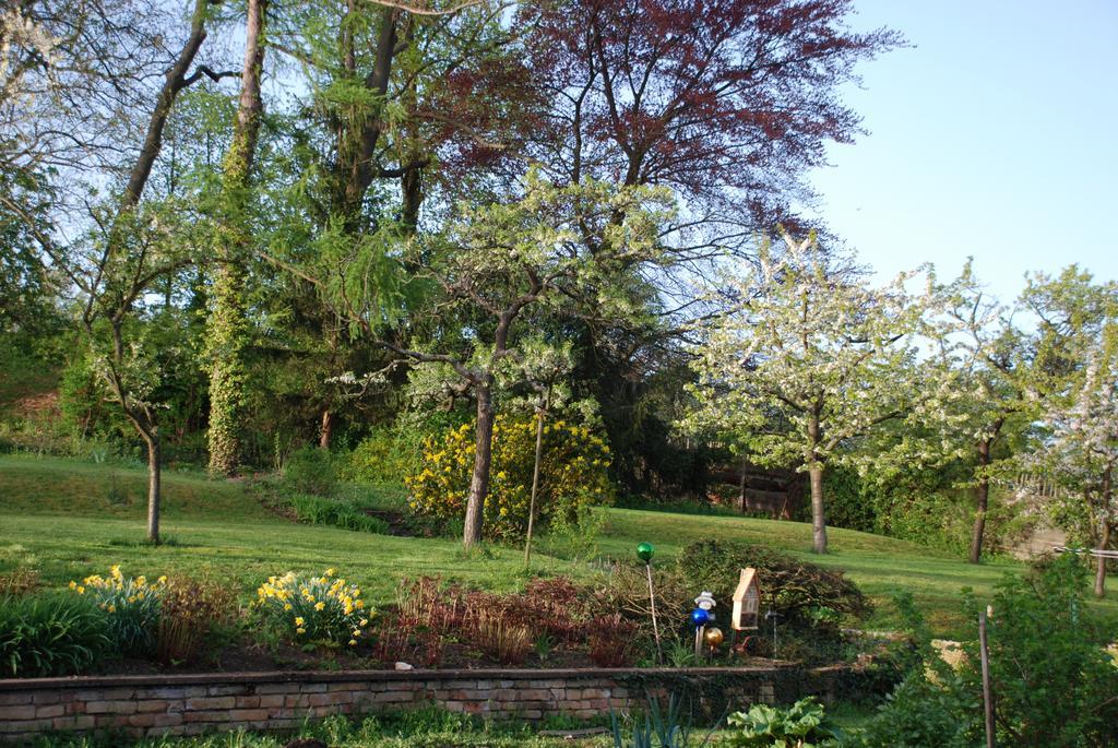 La Maison De Georges - Les Coquelicots Scharrachbergheim-Irmstett Ruang foto